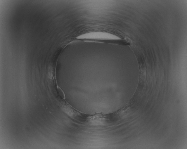 X0000073890331200608251438