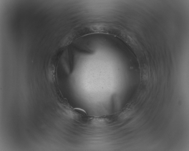 X0000073890332200608251438