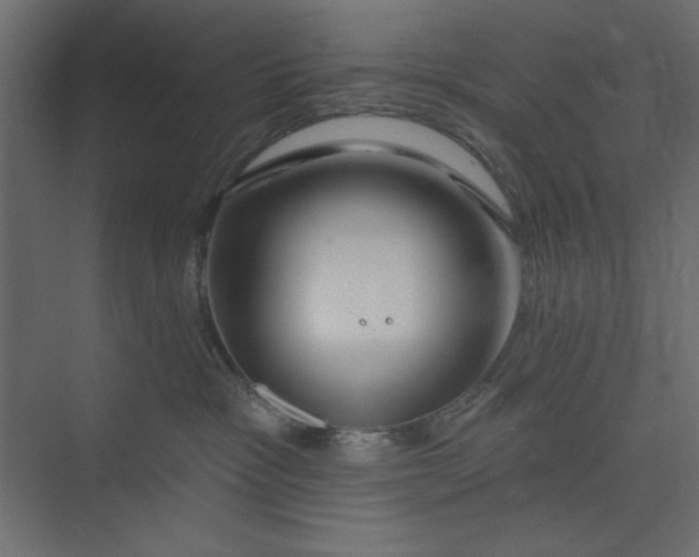 X0000073890333200608251438