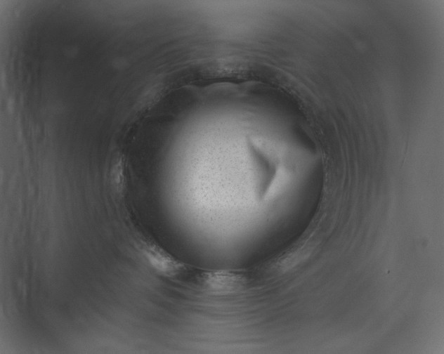 X0000073890336200608251438