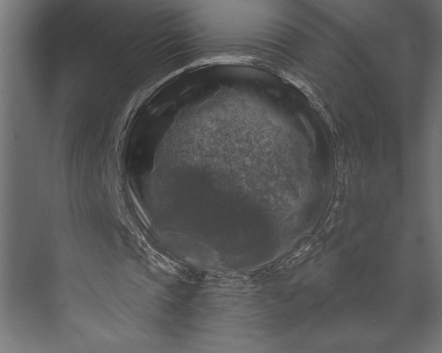 X0000073890337200608251437