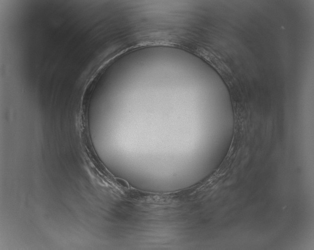 X0000073890338200608251437