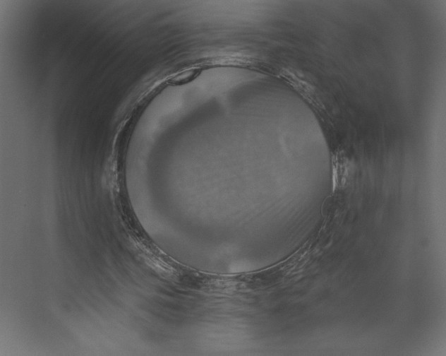 X0000073890339200608251437