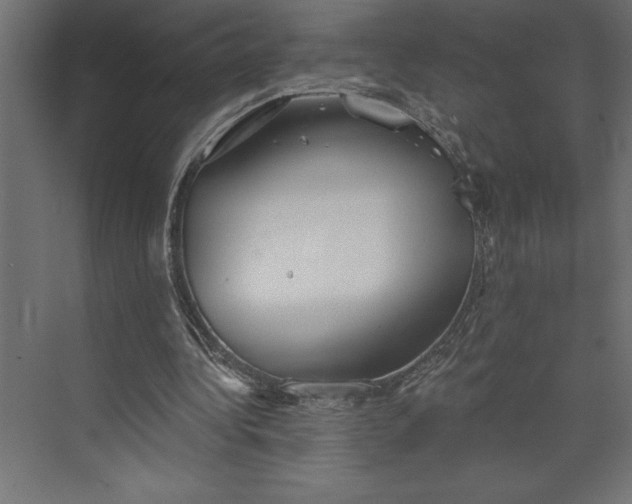 X0000073890340200608251437