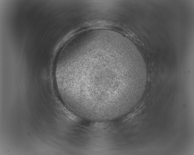 X0000073890341200608251437