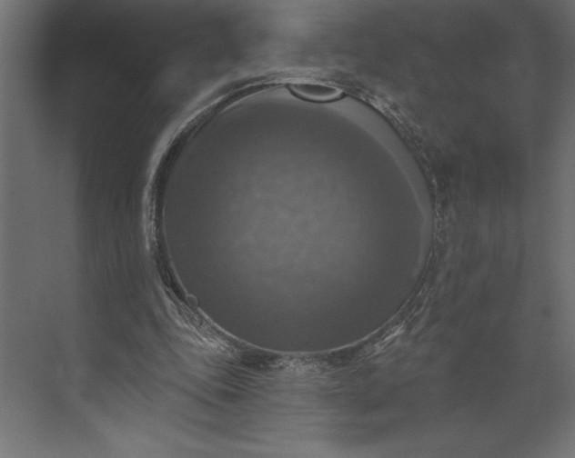 X0000073890343200608251437