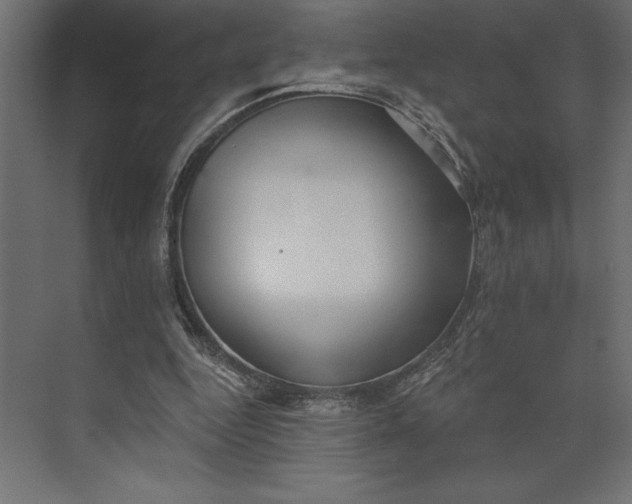 X0000073890344200608251437