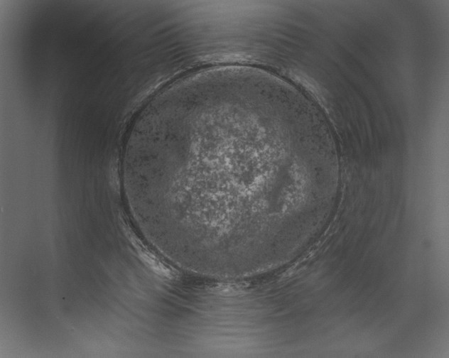 X0000073890345200608251437