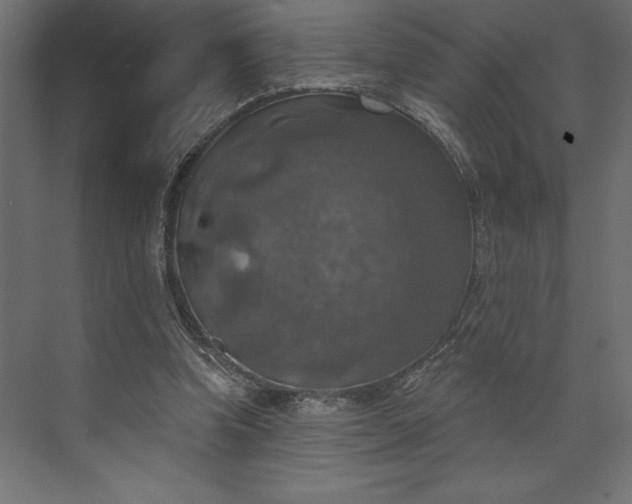 X0000073890346200608251437