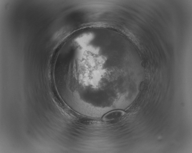 X0000073890347200608251437