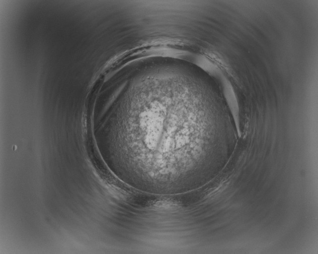 X0000073890348200608251437