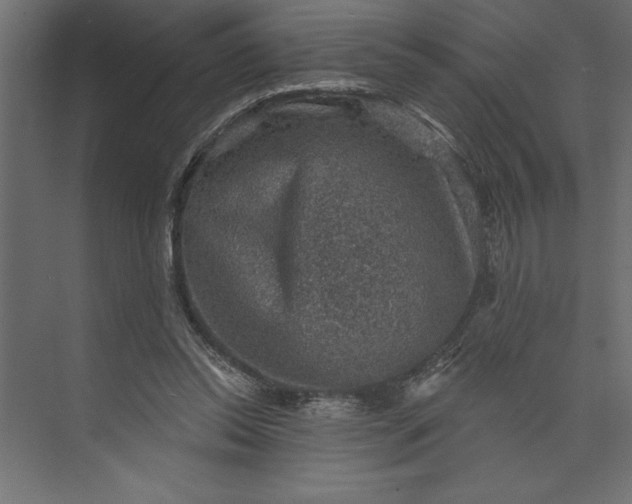 X0000073890350200608251437