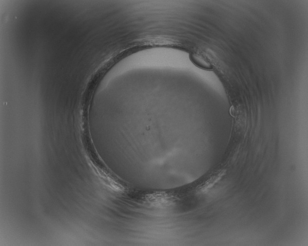 X0000073890351200608251437