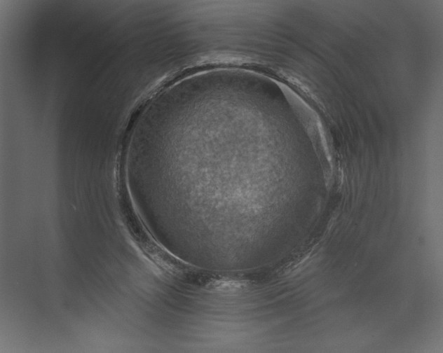 X0000073890352200608251437