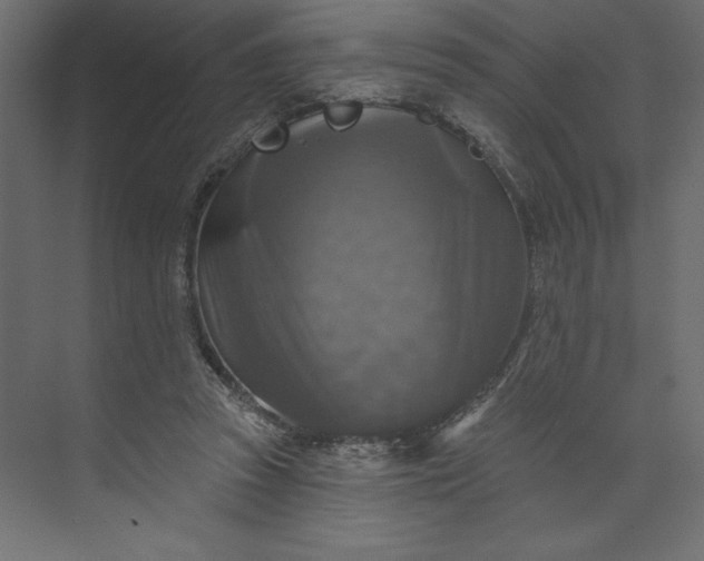 X0000073890353200608251437