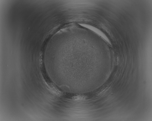 X0000073890356200608251437