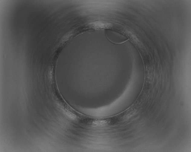 X0000073890357200608251437