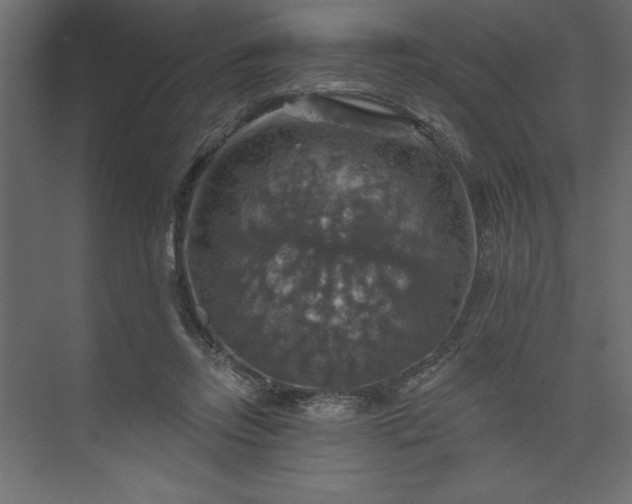 X0000073890358200608251437