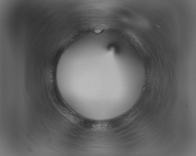 X0000073890362200608251437