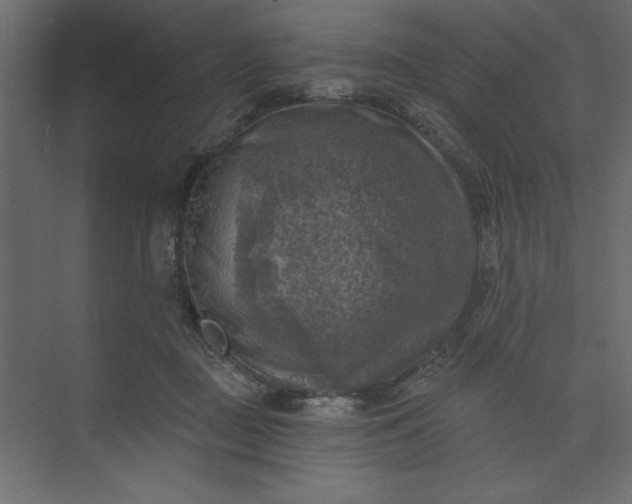 X0000073890363200608251437