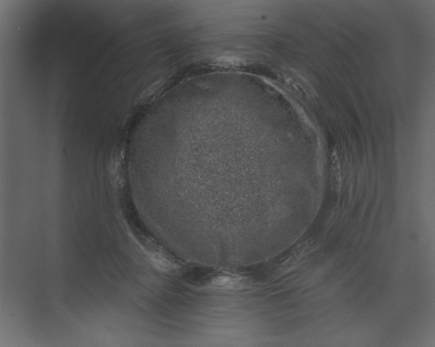 X0000073890364200608251437