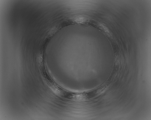 X0000073890365200608251437