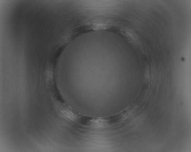 X0000073890367200608251437