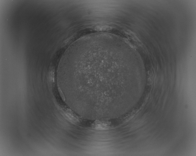 X0000073890368200608251437