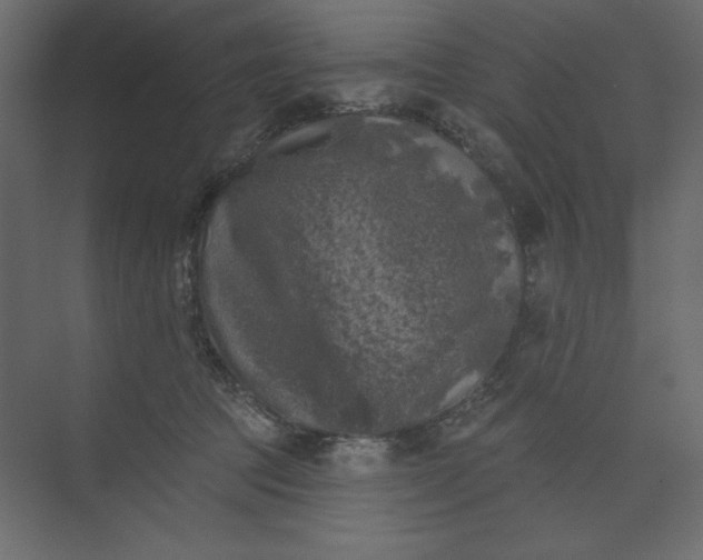 X0000073890369200608251437