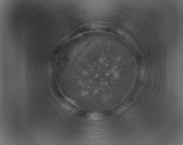 X0000073890372200608251437