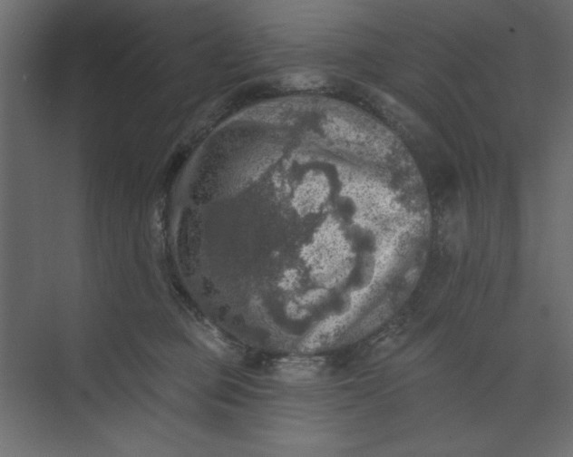 X0000073890373200608251437