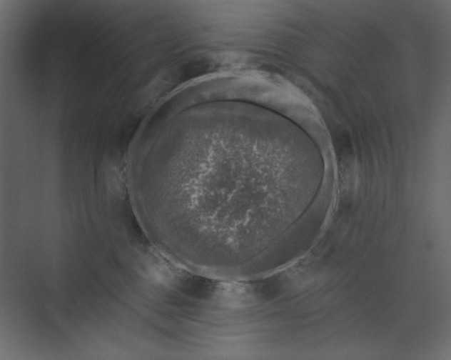 X0000073890376200608251437