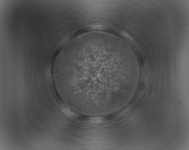 X0000073890377200608251437