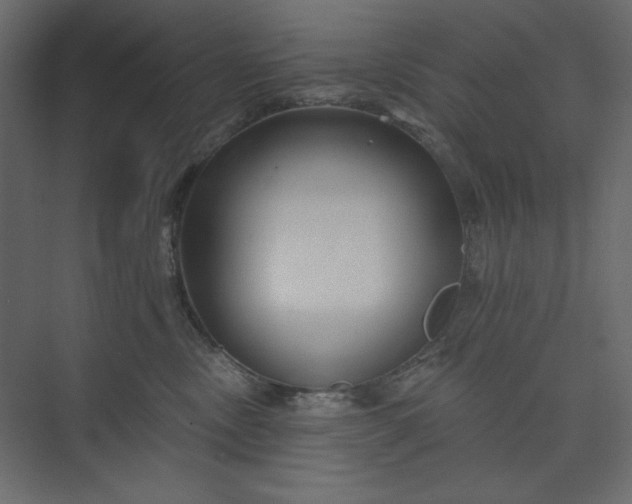 X0000073890378200608251438