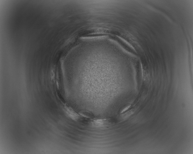 X0000073890382200608251438