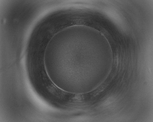 X0000073890383200608251438