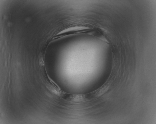 X0000073890384200608251438