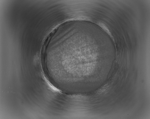 X0000073890389200608251437