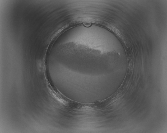 X0000073890390200608251437