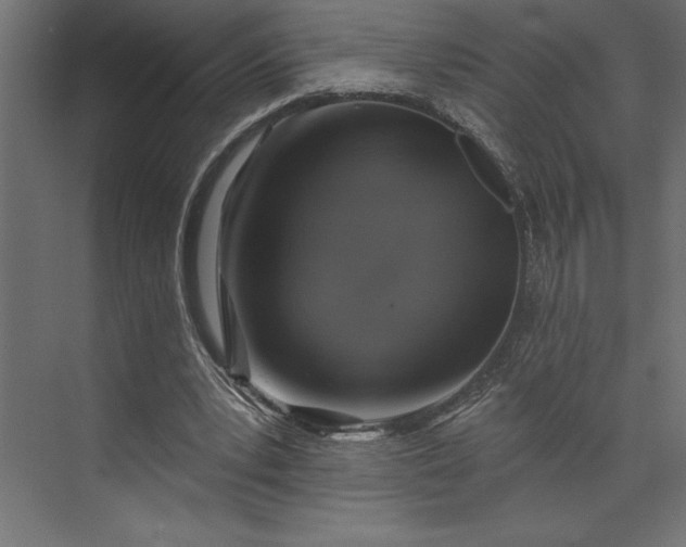 X0000073890391200608251437