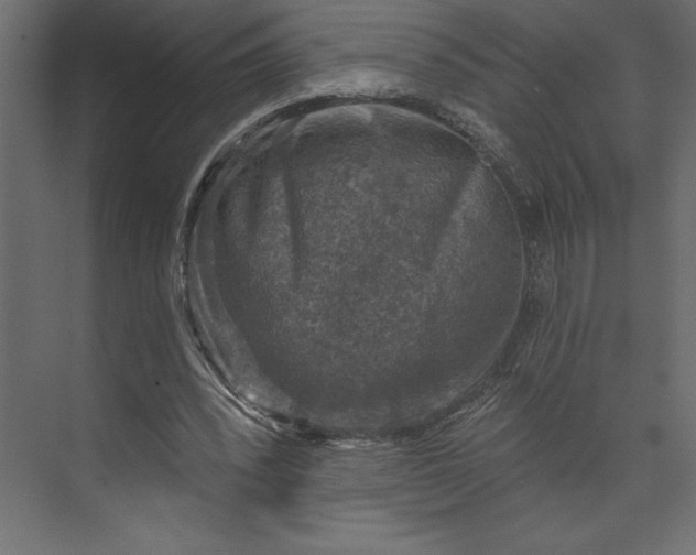 X0000073890392200608251437