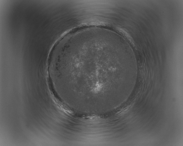 X0000073890395200608251437