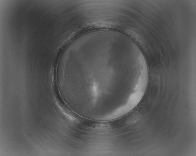 X0000073890398200608251437