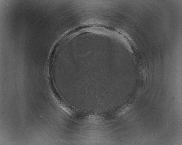 X0000073890399200608251437