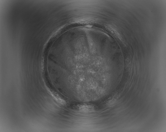 X0000073890400200608251437