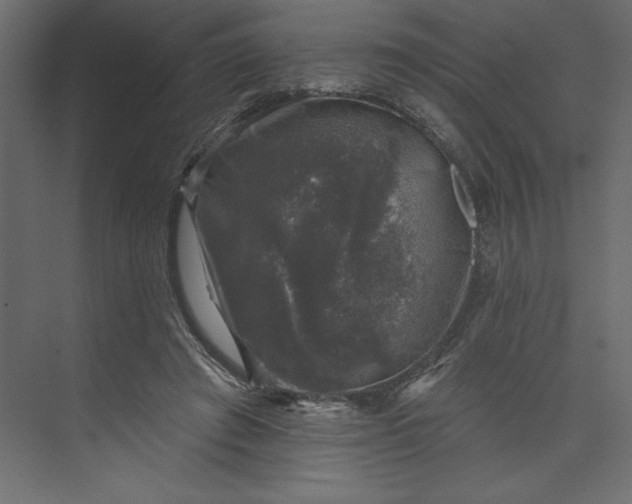 X0000073890401200608251437