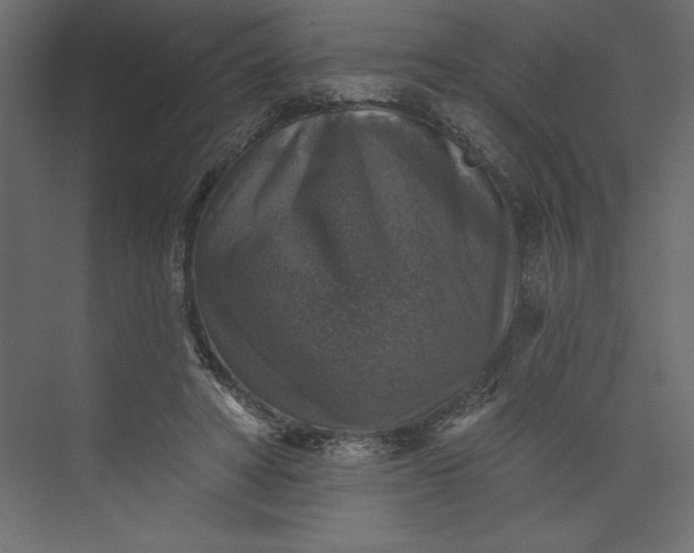 X0000073890402200608251437