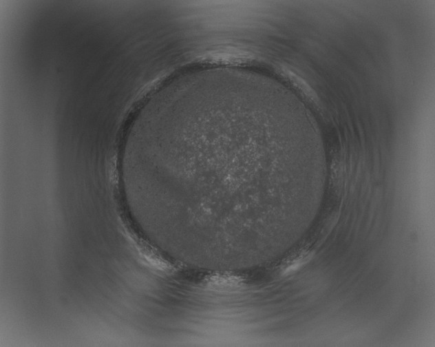 X0000073890403200608251436