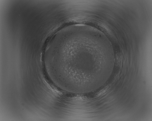 X0000073890404200608251436