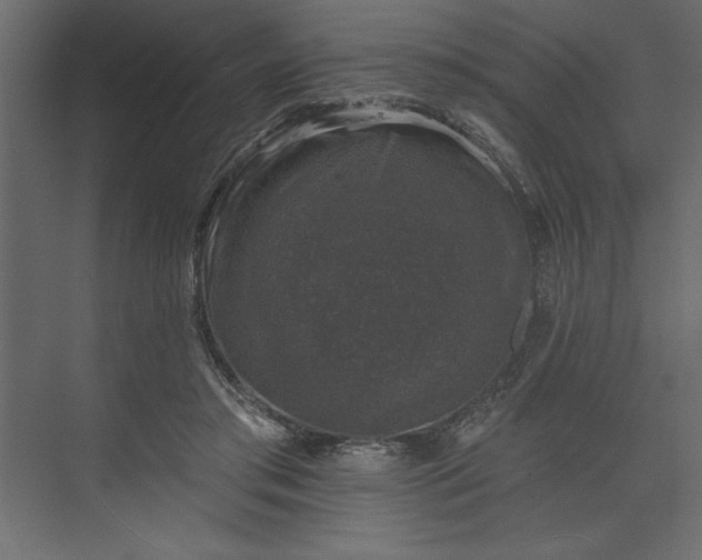 X0000073890405200608251436